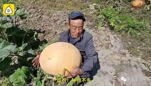 礼县吃瓜事件视频播放,视频曝光引发网友热议  第1张