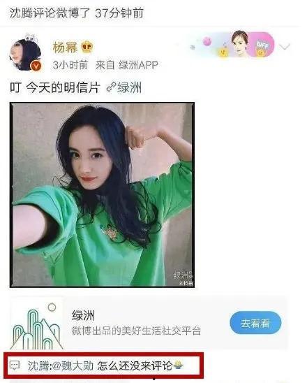娱乐吃瓜丫直播,揭秘娱乐圈幕后故事  第3张
