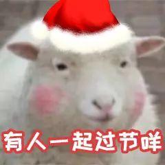 小羊吃瓜全部,一场欢乐的田园盛宴  第3张