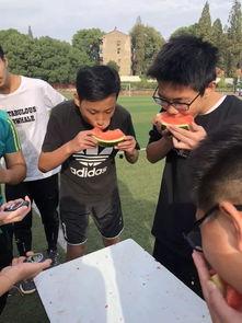 吃瓜接力赛,一场全民参与的趣味盛宴  第2张