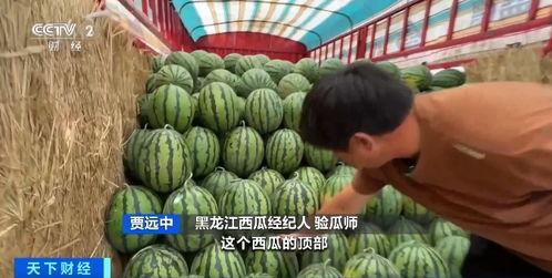 于适吃瓜现场  第3张