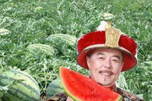 吃瓜讨论  第1张