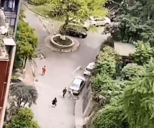 男子阳台吃瓜尴尬,男子尴尬瞬间引热议  第3张