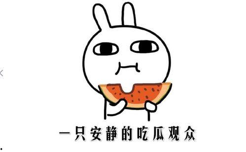 抖音吃瓜一瓜三吃,揭秘热门事件背后的真相  第2张