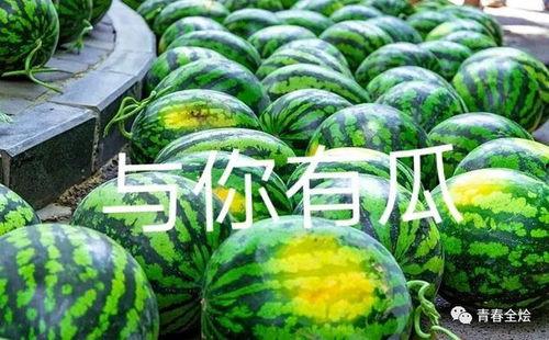 吃瓜大学里  第1张