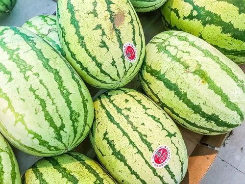4月瓜怎么吃,4月瓜果的多彩食法探索  第1张