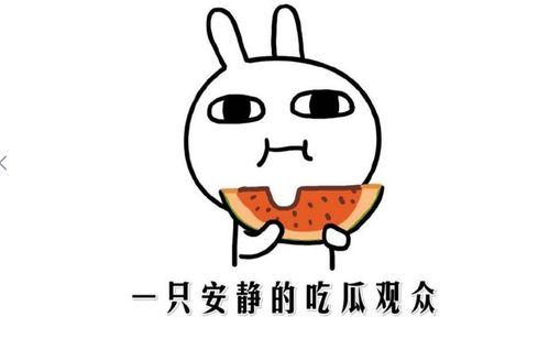网络吃瓜啥意思,揭秘虚拟世界中的围观文化  第1张