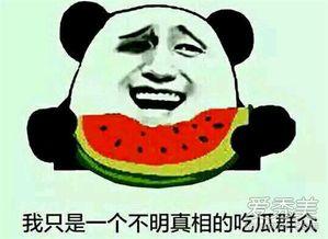 网络吃瓜啥意思,揭秘虚拟世界中的围观文化  第3张