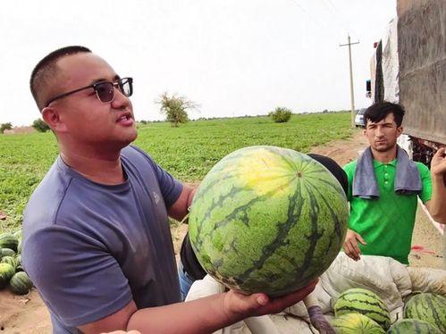 yolo吃瓜,揭秘网络热点的幕后故事  第2张