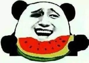 吃瓜叫声,揭秘吃瓜群众的欢乐之源  第1张