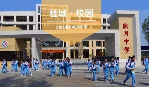 涪江中学吃瓜,揭秘校园里的“瓜田”风云  第1张