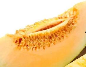 孕早期可以吃瓜蜜瓜,瓜蜜瓜，营养美味两不误  第1张