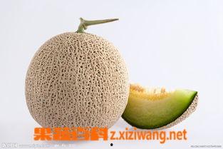 孕早期可以吃瓜蜜瓜,瓜蜜瓜，营养美味两不误  第3张