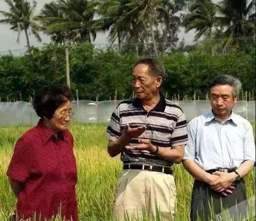 同学比赛吃瓜  第3张
