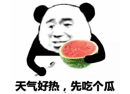 哈哈吃瓜表情包可爱,哈哈吃瓜表情包的可爱魅力  第1张