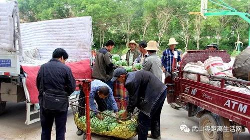 镇上吃瓜群众,揭秘本地新鲜事  第1张