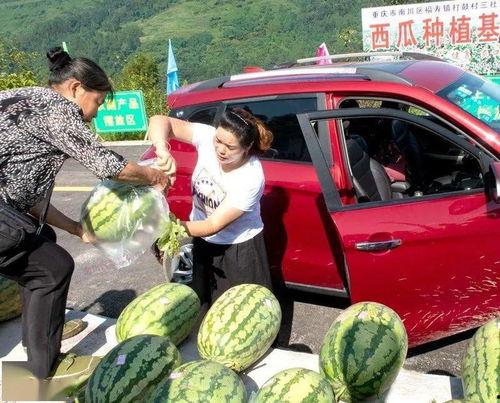 镇上吃瓜群众,揭秘本地新鲜事  第3张