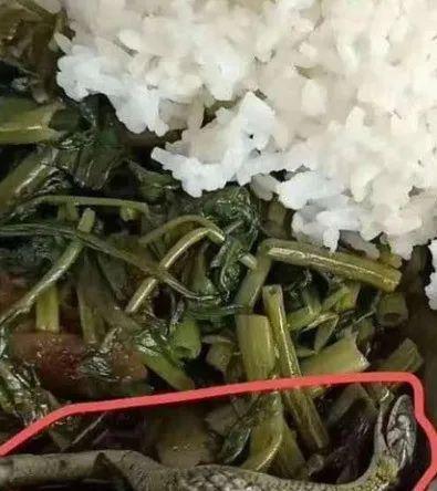 吃瓜吃出阴影,揭秘“吃瓜阴影”背后的心理奥秘  第3张