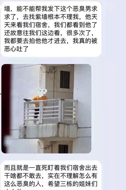 _表白墙吃瓜爆料,表白墙吃瓜爆料背后的故事  第2张