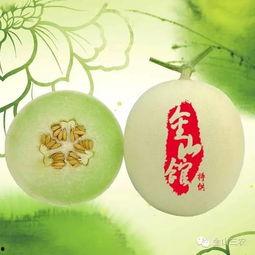 金山哪里吃瓜最多,探寻瓜香四溢的美食天堂  第3张