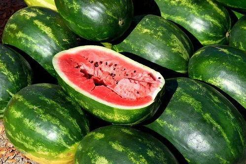 关于吃瓜的照片,捕捉夏日吃瓜瞬间  第2张