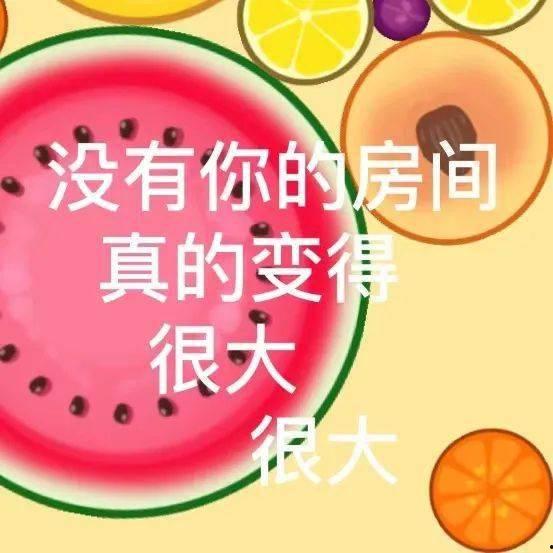 天天吃大瓜天天免费吃,天天大瓜，免费畅享  第1张